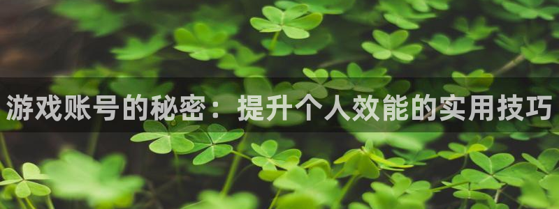 蓝冠娱乐线路测试：游戏账号的秘密：提升个人效能的实用技巧