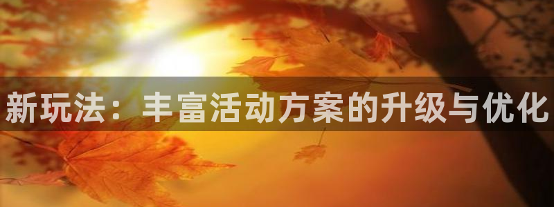 蓝冠娱乐4开户：新玩法：丰富活动方案的升级与优化