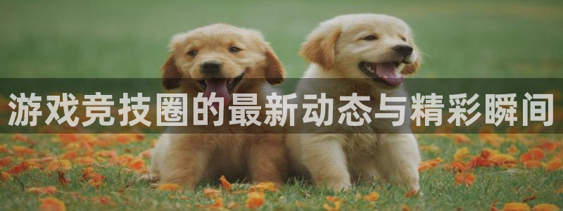 蓝冠娱乐登录地址：游戏竞技圈的最新动态与精彩瞬间