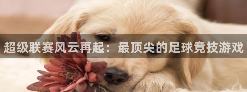 蓝冠娱乐游戏：超级联赛风云再起：最顶尖的足球竞技游戏