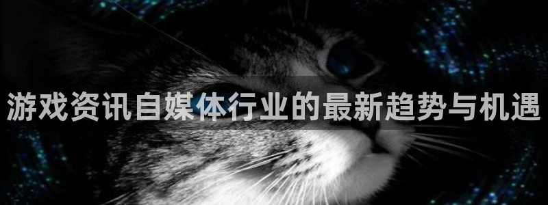 蓝冠娱乐官方平台：游戏资讯自媒体行业的最新趋势与机遇